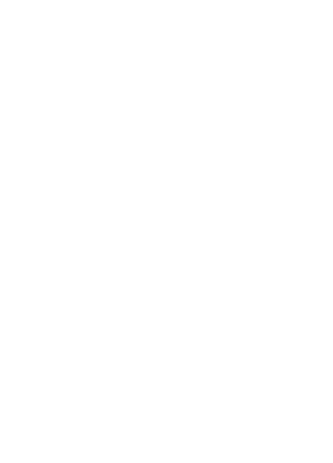 cv333-bet ইভোলিউশন